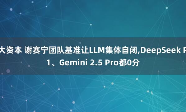 大资本 谢赛宁团队基准让LLM集体自闭,DeepSeek R1、Gemini 2.5 Pro都0分