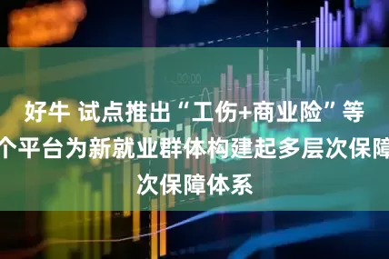 好牛 试点推出“工伤+商业险”等，这个平台为新就业群体构建起多层次保障体系